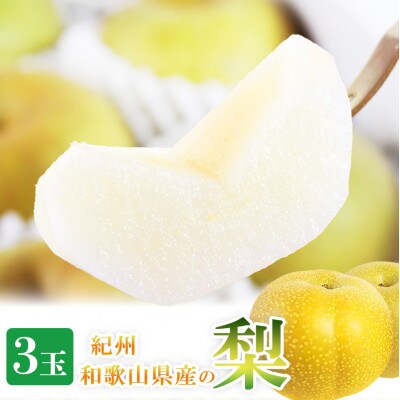 紀州和歌山産の梨 3玉 化粧箱入【uot787】