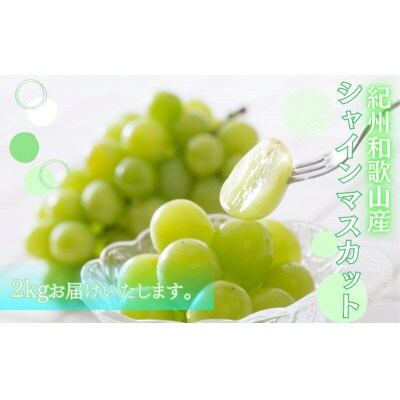 紀州和歌山産 シャインマスカット 約2kg【uot798】