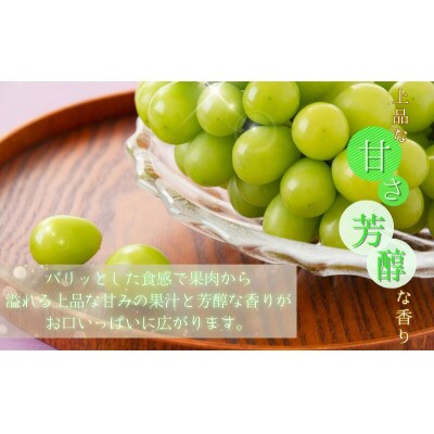 紀州和歌山産 シャインマスカット 約2kg【uot798】