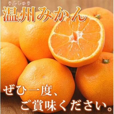 【家庭用 訳あり】紀州有田産 濃厚完熟 温州みかん 2kg【uot836】