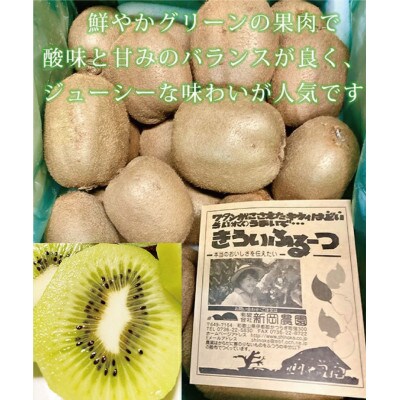 紀州かつらぎ山のキウイフルーツ 約3kg【uot792】