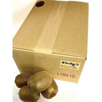 紀州かつらぎ山のキウイフルーツ 約3kg【uot792】