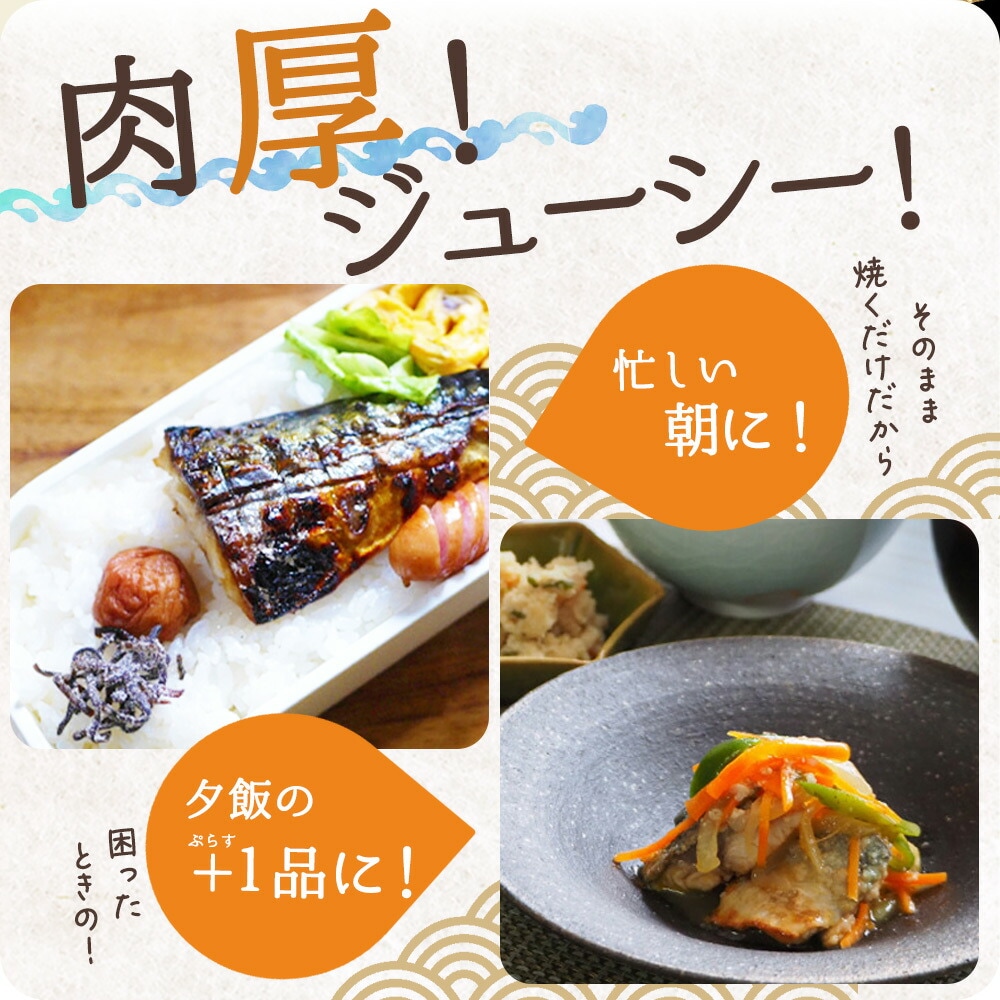 【毎月定期便】ご家庭用 塩さばフィレ 2kg【tkb353】全3回