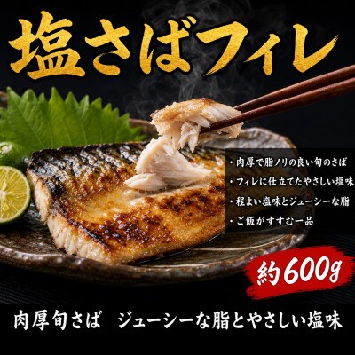 【毎月定期便】大人気!ご家庭用 塩さばフィレ&紅鮭切身セット 計1kg【tkb355】全3回