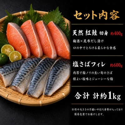 【毎月定期便】大人気!ご家庭用 塩さばフィレ&紅鮭切身セット 計1kg【tkb355】全3回