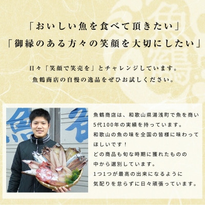 【毎月定期便】大人気!ご家庭用 塩さばフィレ&紅鮭切身セット　計2kg 【tkb356】全3回