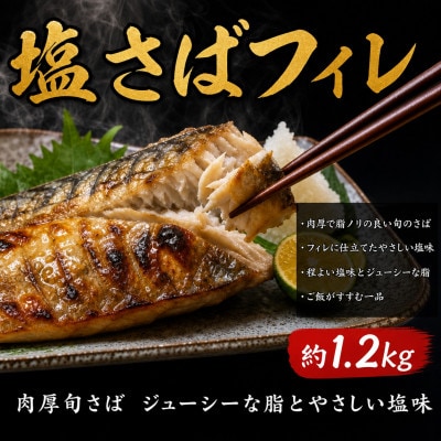 【毎月定期便】大人気!ご家庭用 塩さばフィレ&紅鮭切身セット　計2kg 【tkb356】全3回