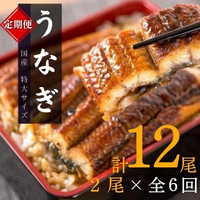 【毎月定期便】大型サイズ ふっくら柔らか 国産うなぎ蒲焼き【tkb310】全6回
