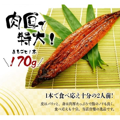 【毎月定期便】大型サイズ ふっくら柔らか 国産うなぎ蒲焼き【tkb310】全6回