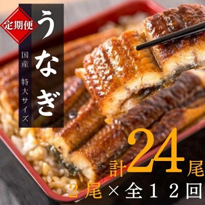 【毎月定期便】大型サイズ ふっくら柔らか 国産うなぎ蒲焼き【tkb311】全12回