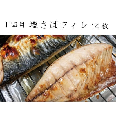 【毎月定期便】和歌山からお届け おさかな定期便 サバ・ウナギ・サケ【tkb131】全3回