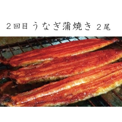 【毎月定期便】和歌山からお届け おさかな定期便 サバ・ウナギ・サケ【tkb131】全3回