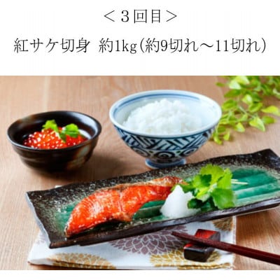 【毎月定期便】困った時の1品に!晩ご飯直行 絶品おかず定期便【tkb304】全4回