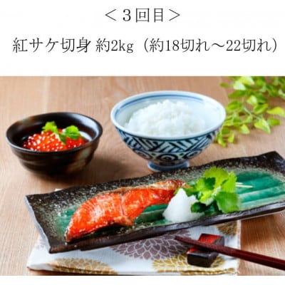 【毎月定期便】家族みんなで楽しめる! 絶品おかず定期便【tkb305】全4回