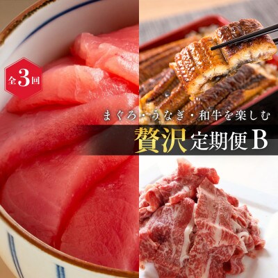 【毎月定期便】まぐろ・うなぎ・和牛を楽しむ贅沢定期便B【tkb387】全3回
