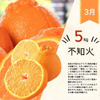 【発送月固定定期便】紀州和歌山産旬のフルーツ定期便 田村みかん・はるみ・不知火【tkb376】全3回