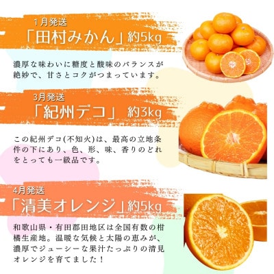 【発送月固定定期便】旬のフルーツ定期便【tkb314】全6回