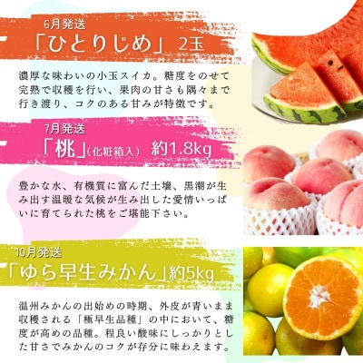 【発送月固定定期便】旬のフルーツ定期便【tkb314】全6回