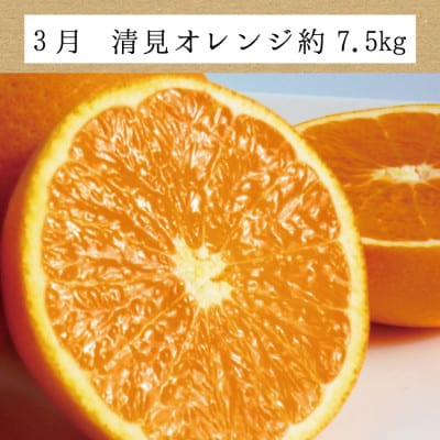 【発送月固定定期便】訳ありみかんの定期便【温州みかん・不知火・清見オレンジ】【tkb113】全3回