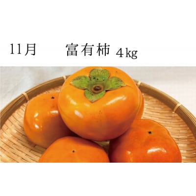 【発送月固定定期便】秋の味覚 果物定期便 柿・みかん　旬のフルーツを毎月お届け【tkb130】全3回