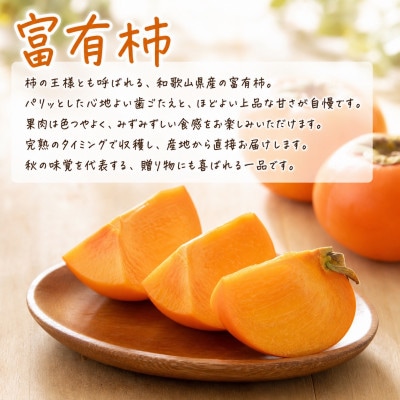【発送月固定定期便】秋の味覚 果物定期便 柿・みかん　旬のフルーツを毎月お届け【tkb130】全3回
