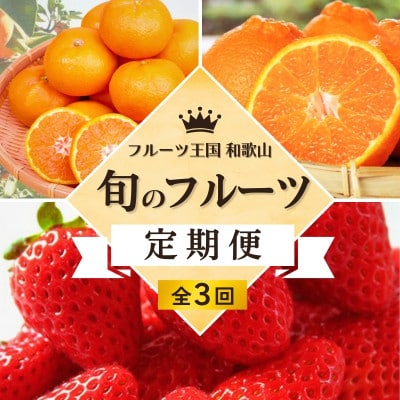 【発送月固定定期便】旬のフルーツ定期便B 【田村みかん・まりひめ・紀州デコ】【tkb351】全3回