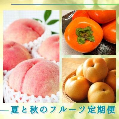 【発送月固定定期便】夏と秋のフルーツ定期便 (桃・梨・ひらたねなし柿) 【tkb372】全3回