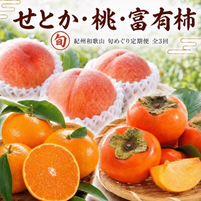 【発送月固定定期便】紀州和歌山産旬のフルーツ定期便(せとか・桃・富有柿) 【tkb392】全3回