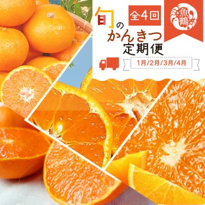 【発送月固定定期便】旬の柑橘定期便 (みかん・不知火・せとか・清見) 【tkb416】全4回