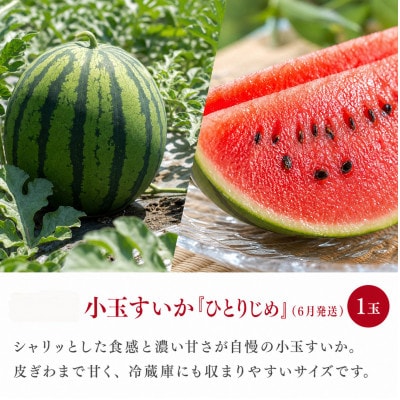 【発送月固定定期便】紀州和歌山産旬のフルーツ定期便(セミノール・スイカ・桃)【tkb453】全3回