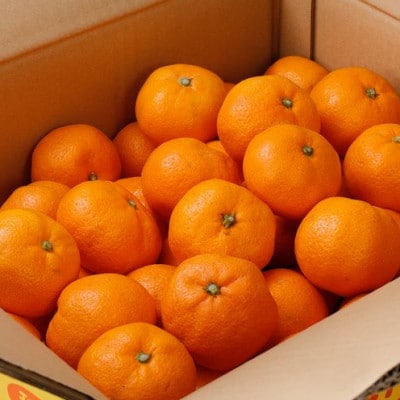 【12月発送予約】 ご家庭用 有田みかん 約4kg+250g 光センサー選別【nuk148-12A】