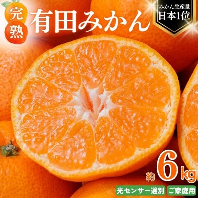 【11月発送予約】 ご家庭用 有田みかん 約6kg+250g 光センサー選別【nuk102-11A】