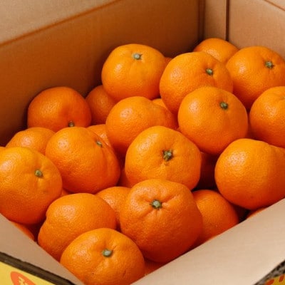 【11月発送予約】 ご家庭用 有田みかん 約6kg+250g 光センサー選別【nuk102-11A】