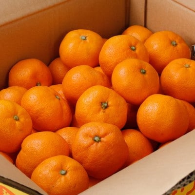 【12月発送予約】 ご家庭用 有田みかん 約6kg+250g 光センサー選別【nuk102-12A】