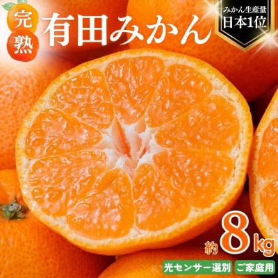 【11月発送予約】 ご家庭用 有田みかん 約8kg+250g 光センサー選別【nuk100-11B】