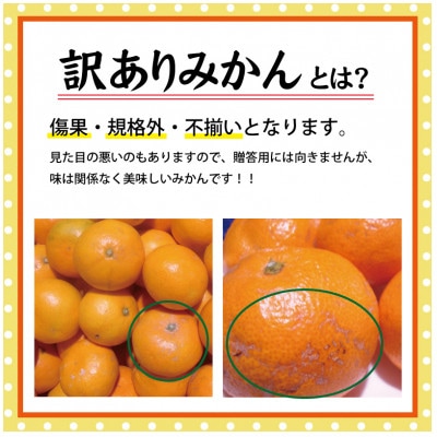 訳あり 有田みかん 約5kg ご家庭用 サイズ混合 農家直送【nuk161C】