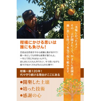 こだわりの 不知火デコポン 約5kg 光センサー選別【nuk111C】