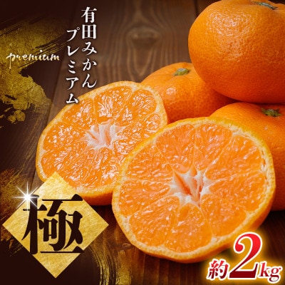 極 有田みかん プレミアム 約2kg【光センサー高糖度選別品】2S～Lサイズ 【nuk154F】