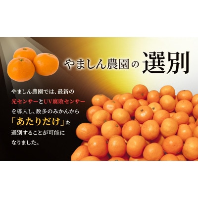 極 有田みかん プレミアム 約5kg【光センサー高糖度選別品】2S～Lサイズ 【nuk155F】