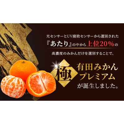 極 有田みかん プレミアム 約5kg【光センサー高糖度選別品】2S～Lサイズ 【nuk155F】