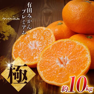 極 有田みかん プレミアム 約10kg【光センサー高糖度選別品】2S～Lサイズ 【nuk156C】