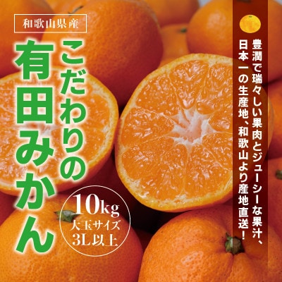 有田みかん 約10kg 大玉3L以上 光センサー選別 農家直送【nuk139E】