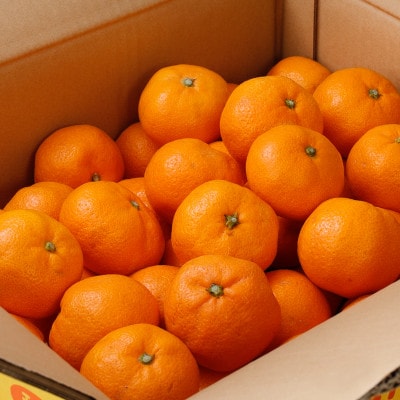 【25年12月～順次発送】ご家庭用 有田みかん 約2kg 光センサー選別【nuk159sato】