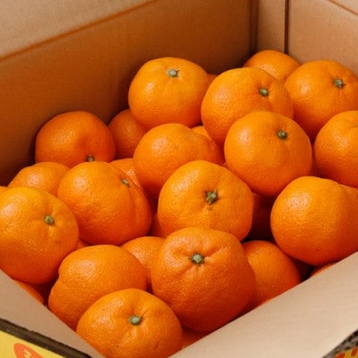 【25年12月～順次発送】ご家庭用 有田みかん 約4kg+120g【nuk148sato】