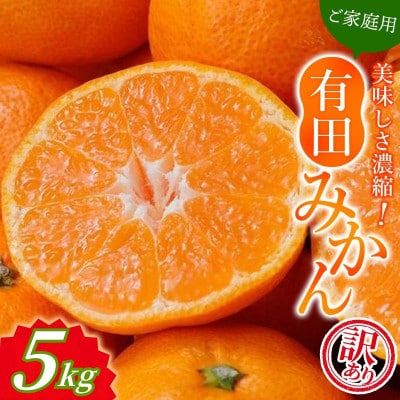【25年12月～順次発送】訳あり 有田みかん 約5kg ご家庭用 サイズ混合【nuk161sato】