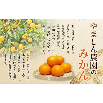 【25年12月～順次発送】極 有田みかんプレミアム 約3kg【高糖度選別品】【nuk168sato】