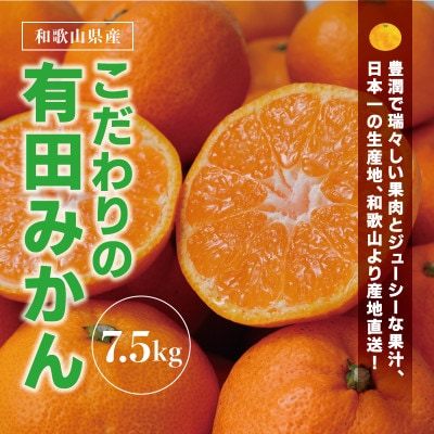 【25年12月～順次発送】有田みかん 約7.5kg 大玉3L以上【nuk158sato】