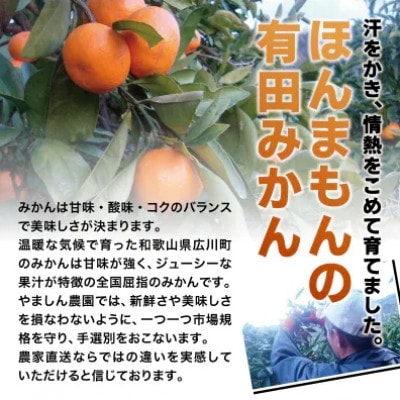 こだわりの完熟有田みかん 約5kg+250g(傷み補償分) ご家庭用 【nuk160sato】
