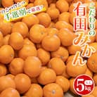 こだわりの和歌山県産 有田みかん 5kg S～Lサイズおまかせ ひとつひとつ手選別【hdm005】
