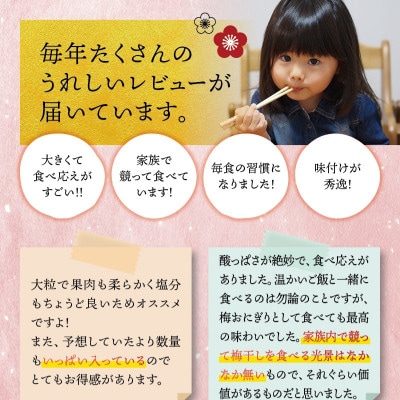 最高級 紀州南高梅 大粒 うす味 梅干し 1kg 【ご家庭用】【inm310C】